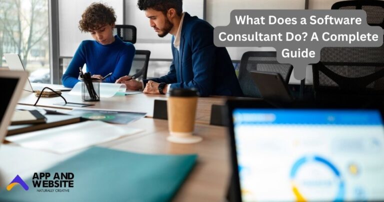 What Does a Software Consultant Do